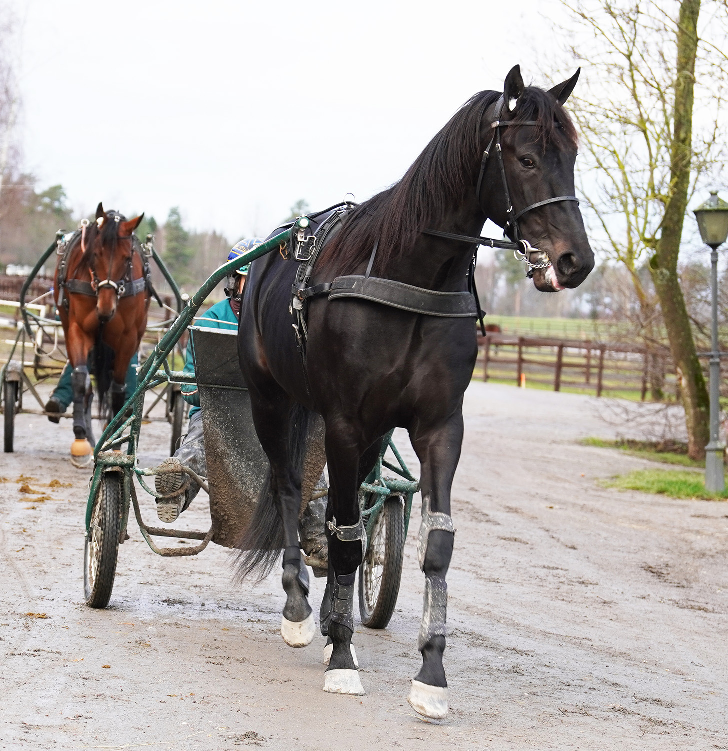 Hitting Hard 251212-5